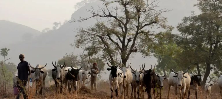 Fulani herders endure stigma and frustration in Nigeria
